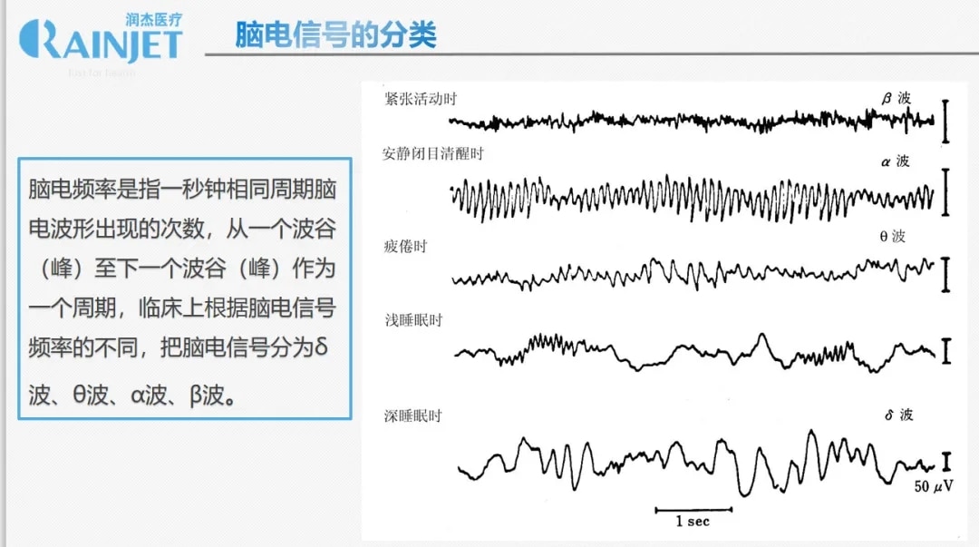 11.webp插图